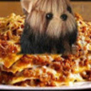 Meet your Posher, Bitch